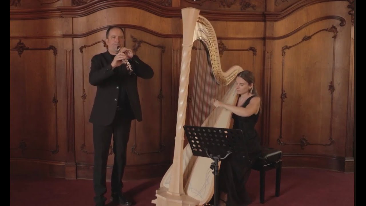 Nella Fantasia (Gabriel’s Oboe) — Ennio Morricone | Arpa y Oboe | Harp & Hautbois