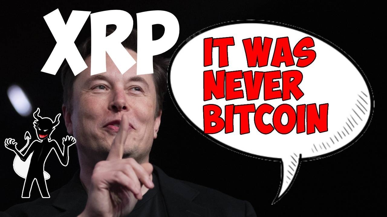 Ripple XRP: ИЛОН МАСК ВСЁ ЗНАЕТ!!!!