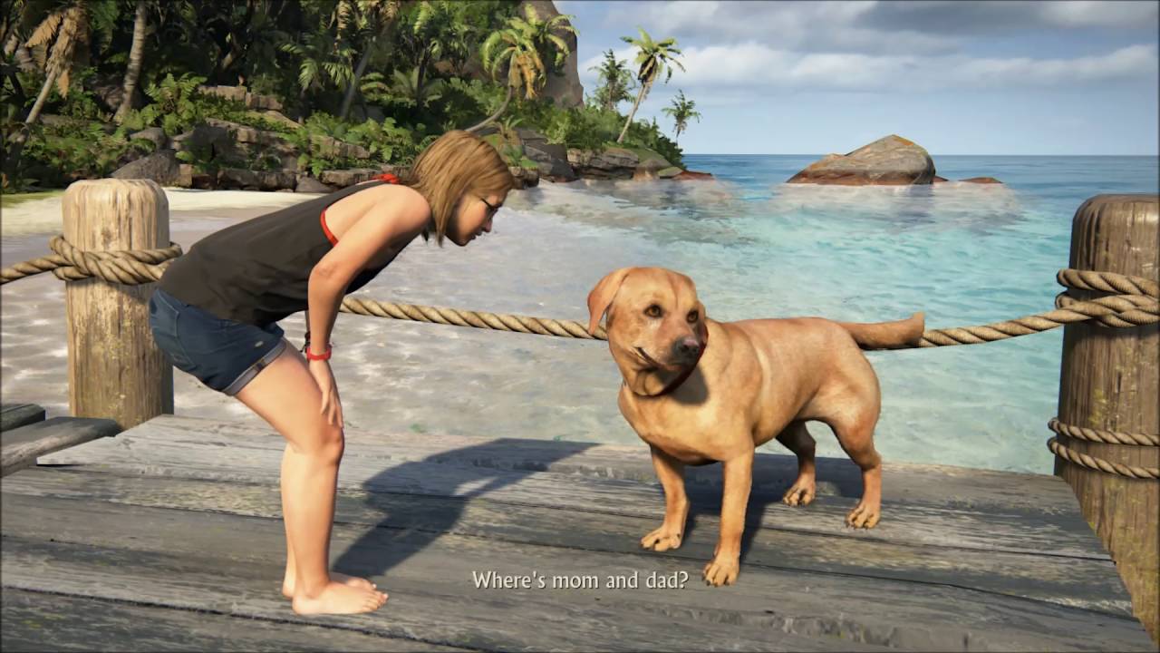 Uncharted 4 A Thief's End Walkthrough Part 32 - The End [Epilogue]