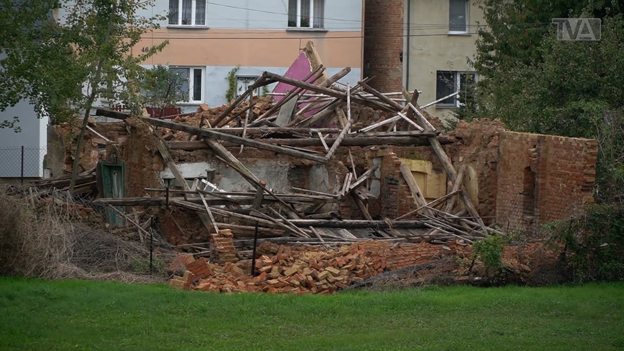 Telewizja Aleksandrów – 11.10.2024