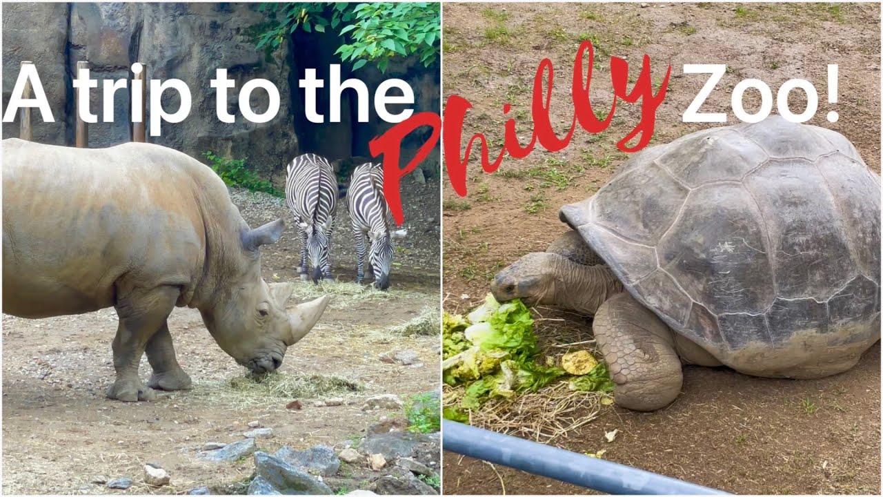 VISITING THE PHILLY ZOO! FULL TOUR