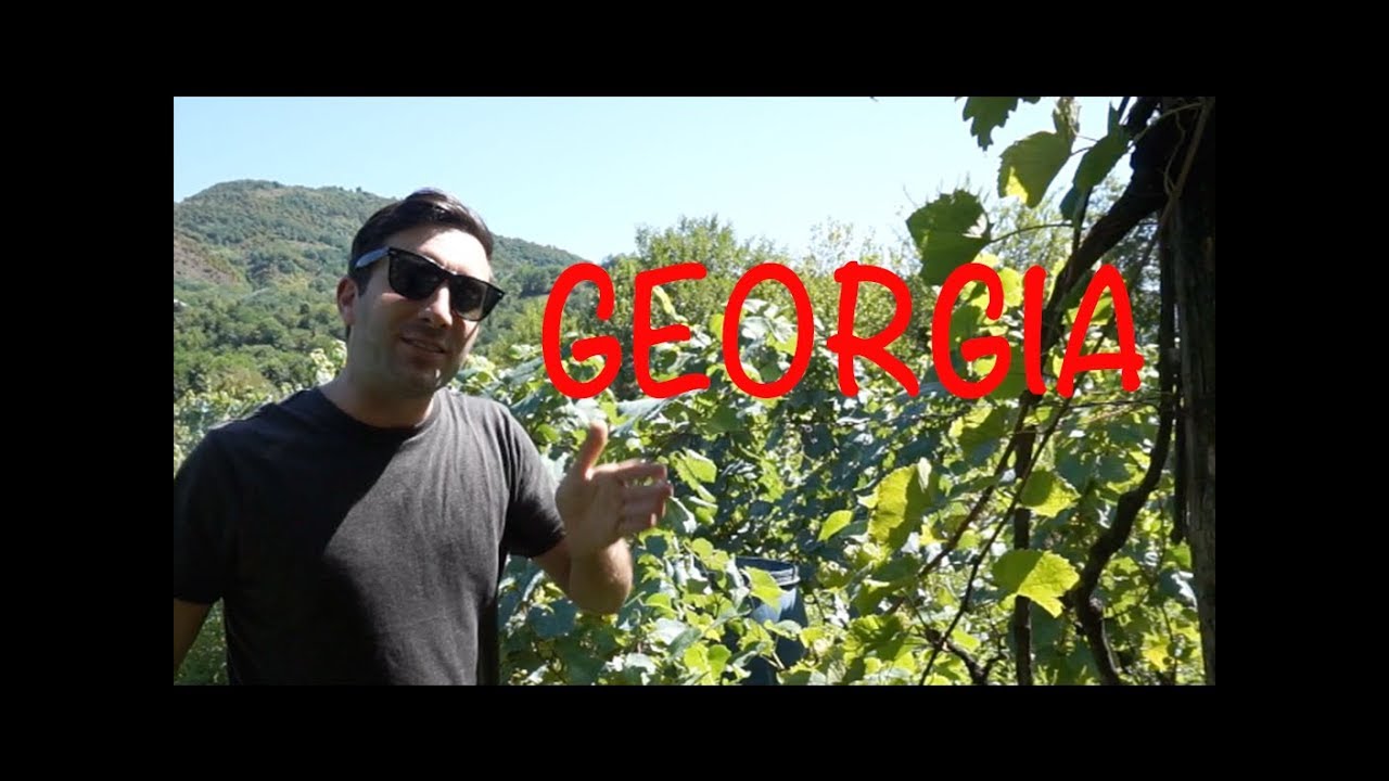 🇬🇪 Georgia, su comida y el vino