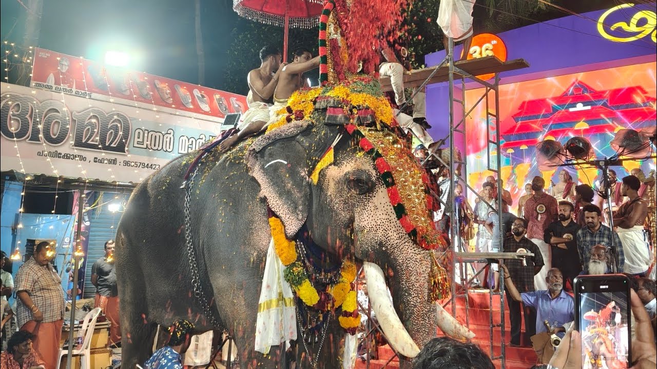 கேரளா பத்திரகாளி அம்மன் கோயில் Chellamangalam sri devi temple festival#devitemple #ulsavam 