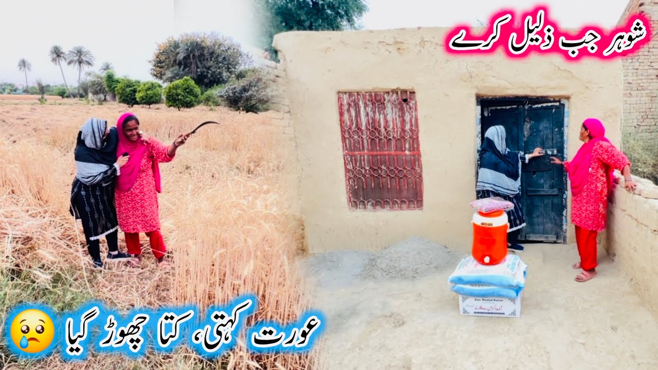 Jo Chor Kar Chala Jaye Wo Kutta Hi Hai|Aao Madad Karen