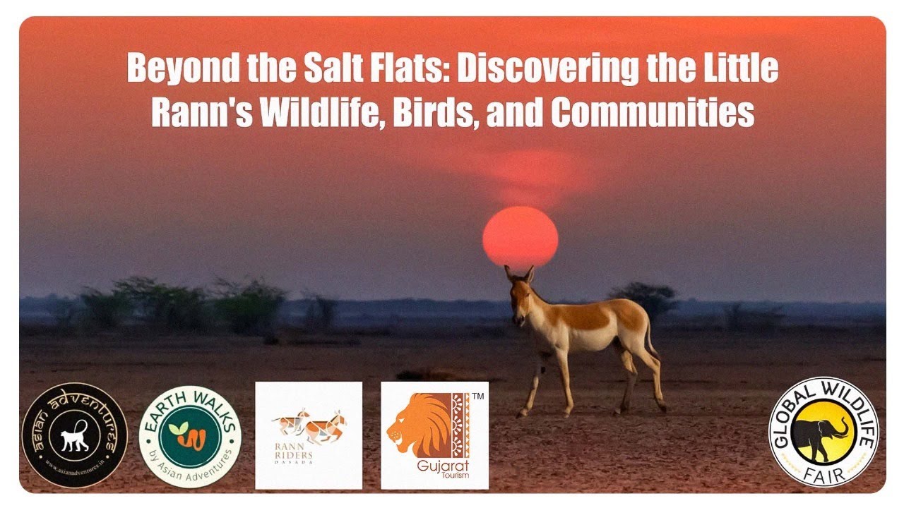 The Little Rann Of Kutch: A webinar with Mohit Aggarwal, Muzahid Malik & Gujarat Tourism