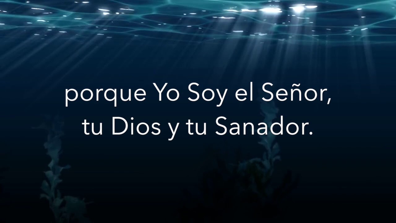 S&Aacute;NAME JES&Uacute;S CON TU PODER. Gladys Garcete