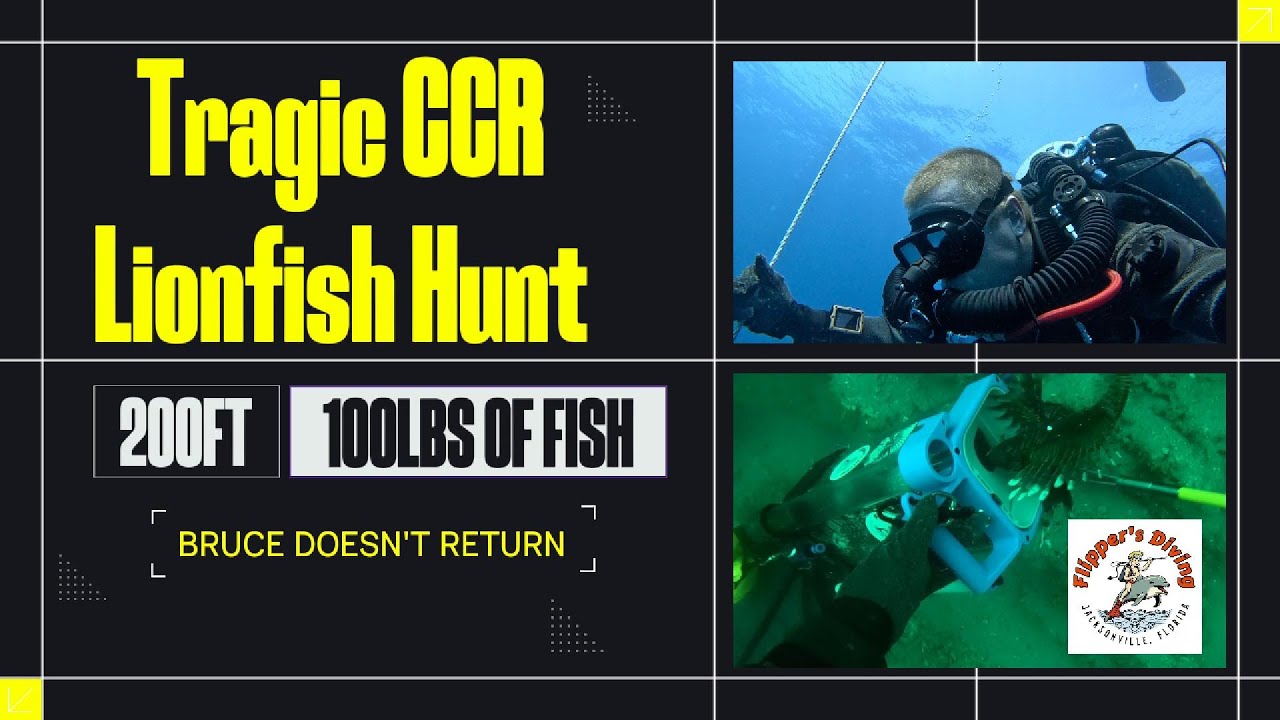 Tragic CCR Lionfish Hunt   FLIPPERS DIVING