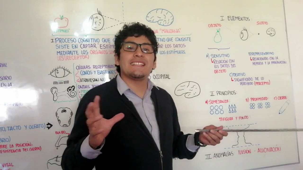 SENSACIÓN Y PERCEPCIÓN - PSICOLOGÍA - NIVEL PRE