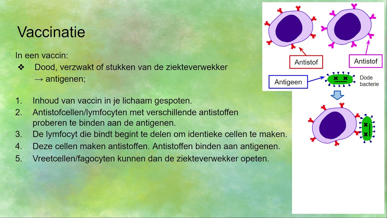 Vaccinatie/inenting - hoe werkt het?