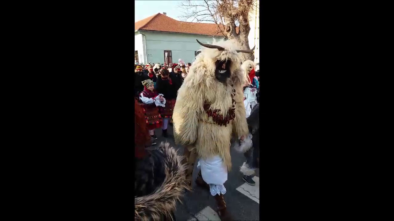 Bus&oacute;j&aacute;r&aacute;s, Moh&aacute;cs 2018