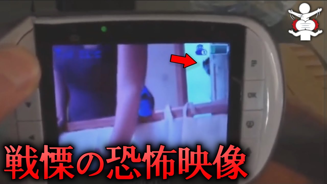 【夏休み】見たら忘れる事ができない戦慄の恐怖映像 総集編