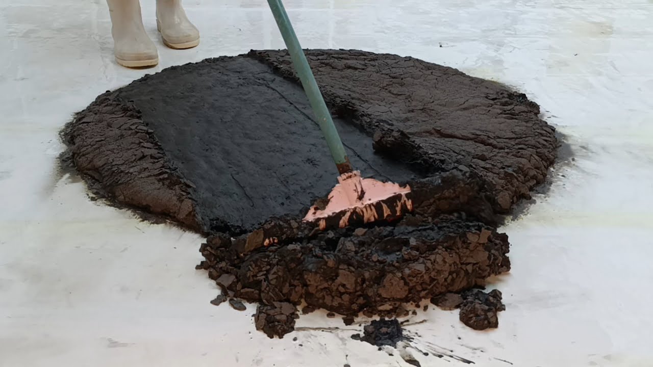 Extreme Muddy Rug Cleaning ASMR – Foam Explosion + Metal Scrub Deep Clean