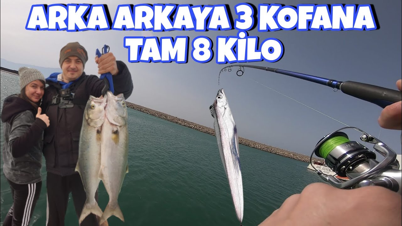 KAYIŞ BALIĞI (PALASKA) İLE KOFANA AVI #çevlikoltacısı #kofana