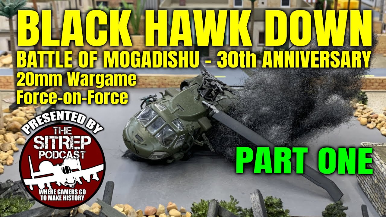 30-я годовщина «Падения Черного Ястреба»: Force-on-Force 20 мм (P1)