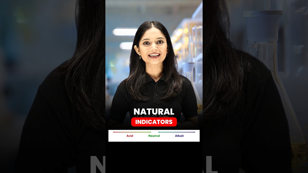 What Are Natural Indicators? 🔬🧪 #shorts