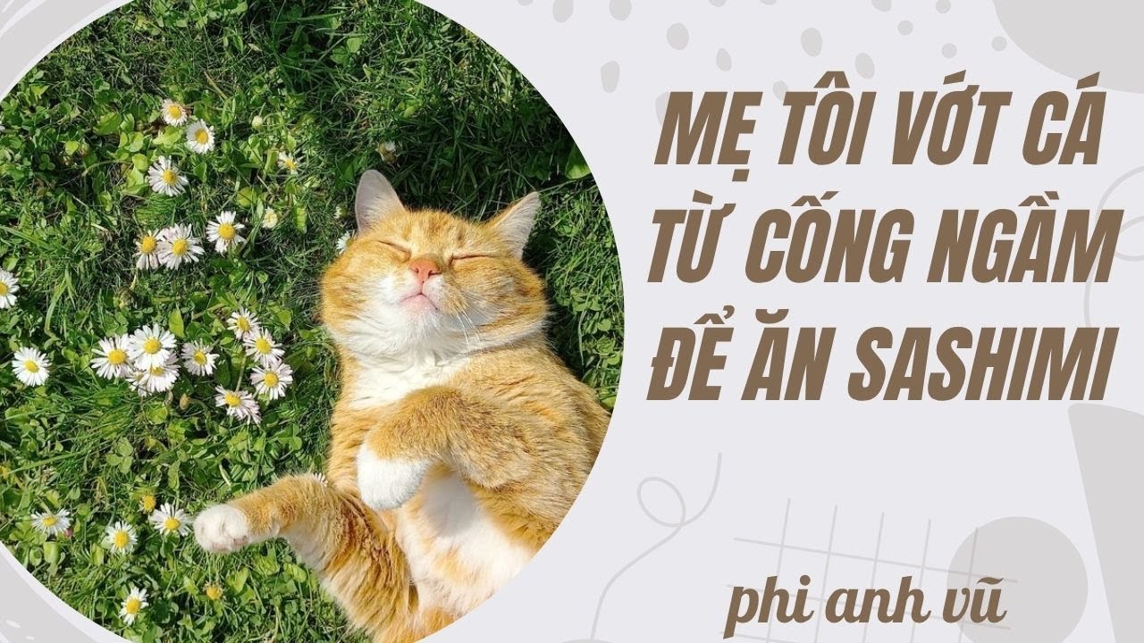 [Truyện Audio] Mẹ Tôi Vớt Cá Từ Cống Ngầm Để Ăn Sashimi | Phi Anh Vũ