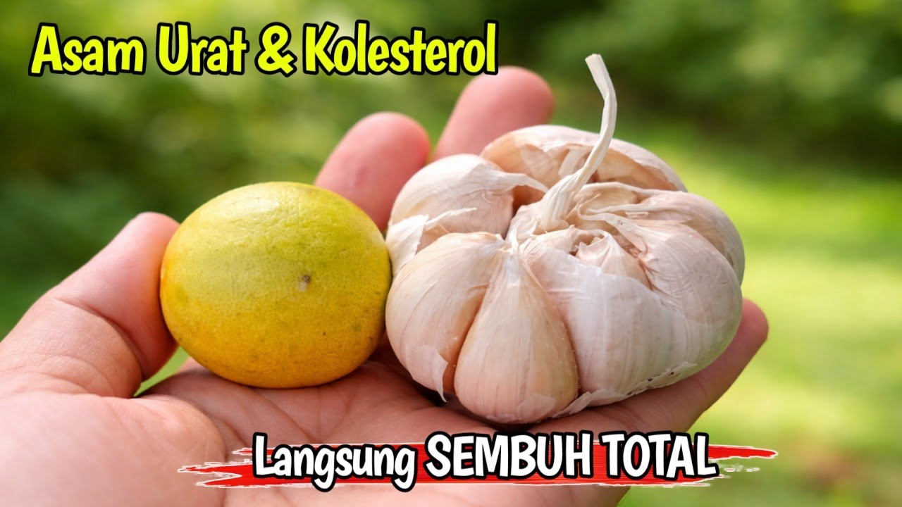 Ramuan HERBAL MUJARAB ‼️ KENAPA BARU TAHU SEKARANG 