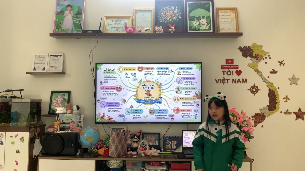Dr Binocs | Lesson 25|  What is an Ant Mill? | The Life and Death Cycle of An Ant| Elsa Thao Linh 8T