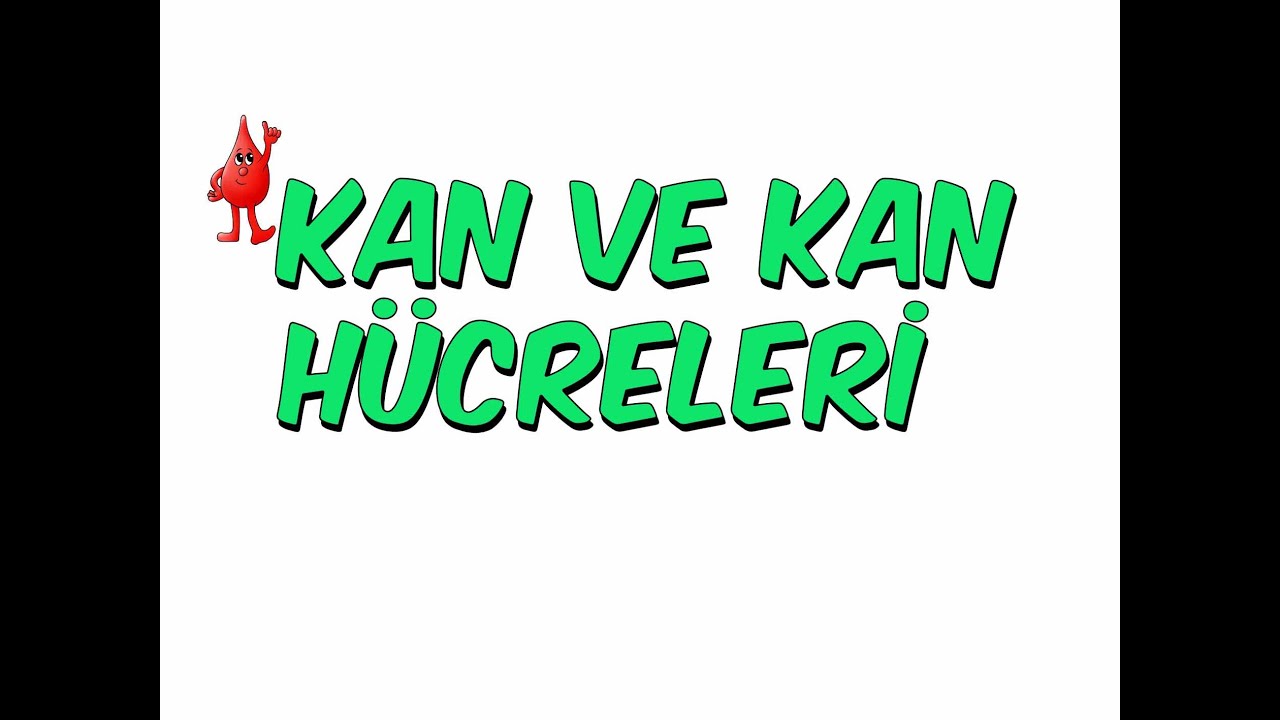 10dk'da KAN VE KAN HÜCRELERİ | 6.Sınıf