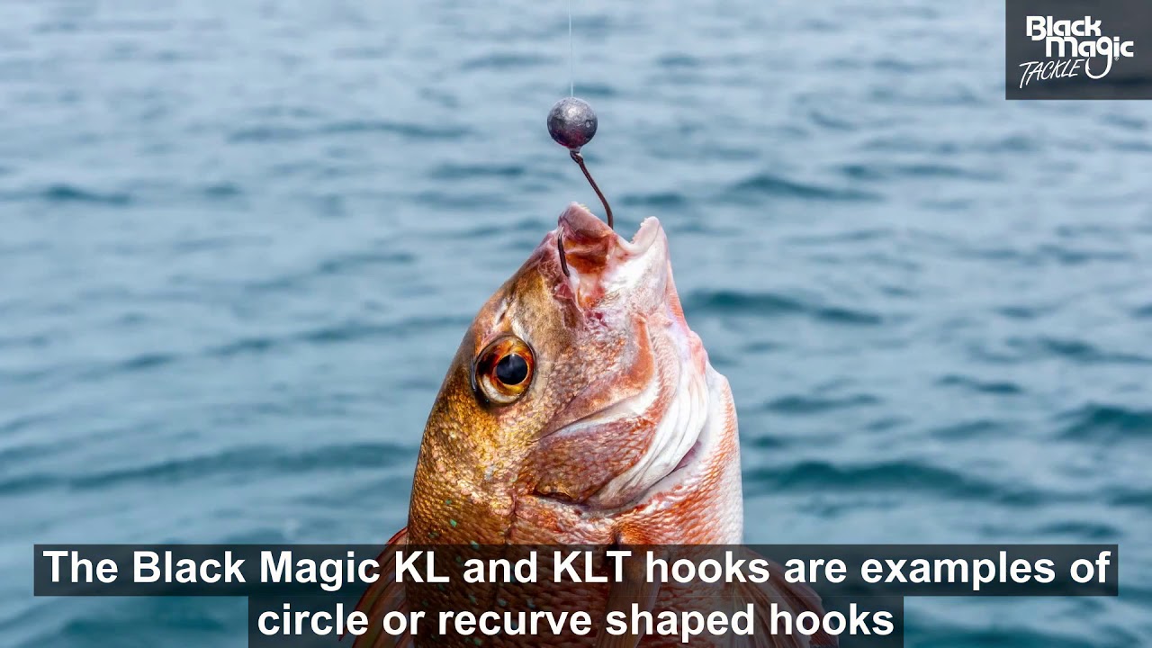 Black Magic hooks - choosing your fishing hook
