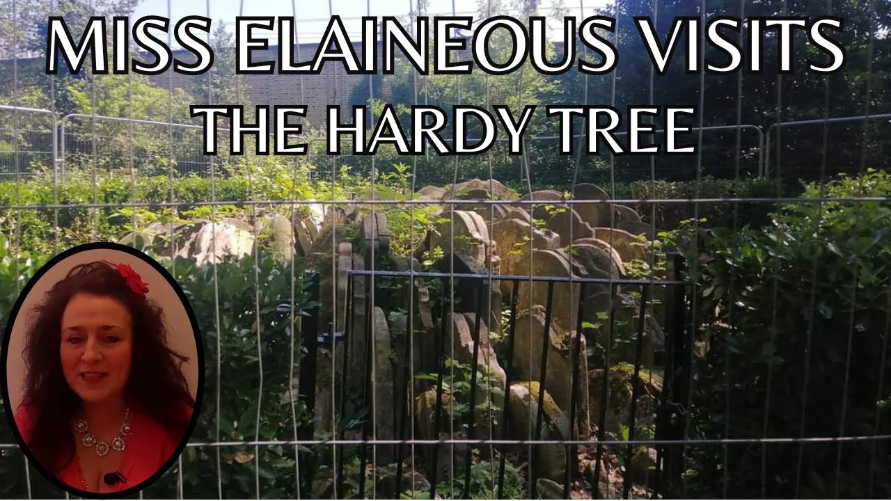 The Hardy Tree, Camden, London.  Wow!  Whatever has happened to it?