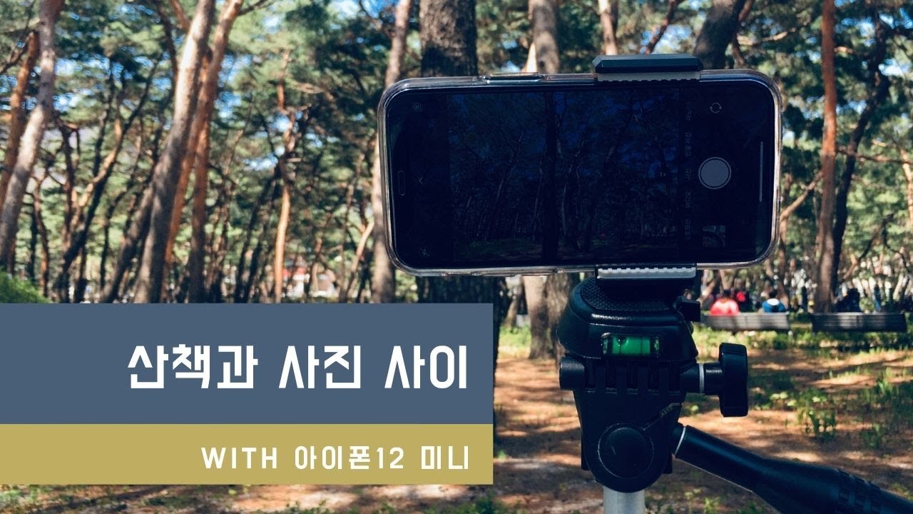 [4K]산책하면서 사진 찍기│아이폰 12미니│강북FM│