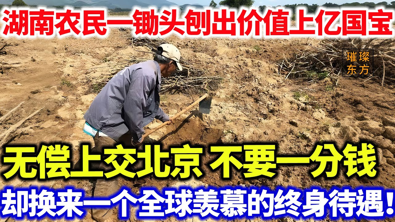 农民一锄头刨出国宝，无偿上交北京 不要一分钱！却换来一个全球羡慕的终身待遇！#璀璨东方 #科普 #考古發現 #奇闻异事