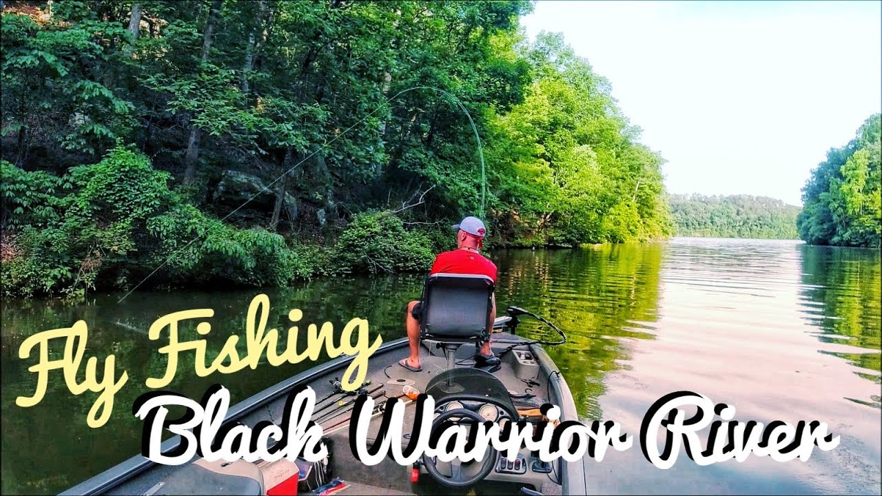 So Fly! Fly Fishing the Black Warrior River for Bluegill