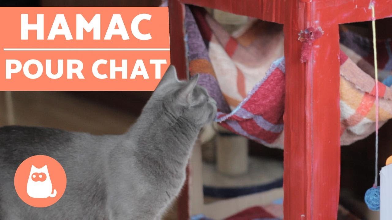Hamac pour les chats DIY - NIVEAU FACILE!