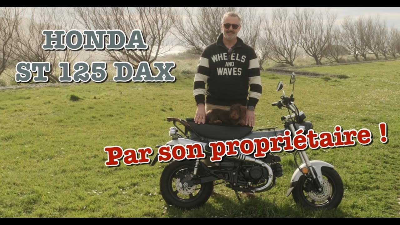 Honda ST125 DAX. Тест и отчет моего владельца. Мне нравится ❤️