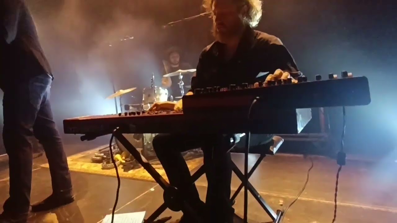 Des Demonas Live la Marbrerie Montreuil 