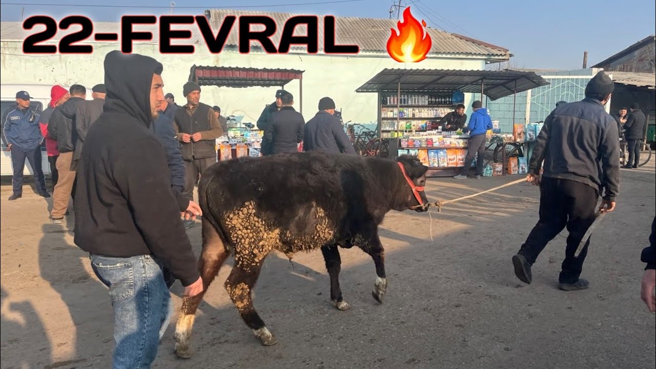 REAL SOTILGAN VA QAYTGAN NARXLARI MARGILON KOMBINAND CHORVA BOZORIDAN 😱