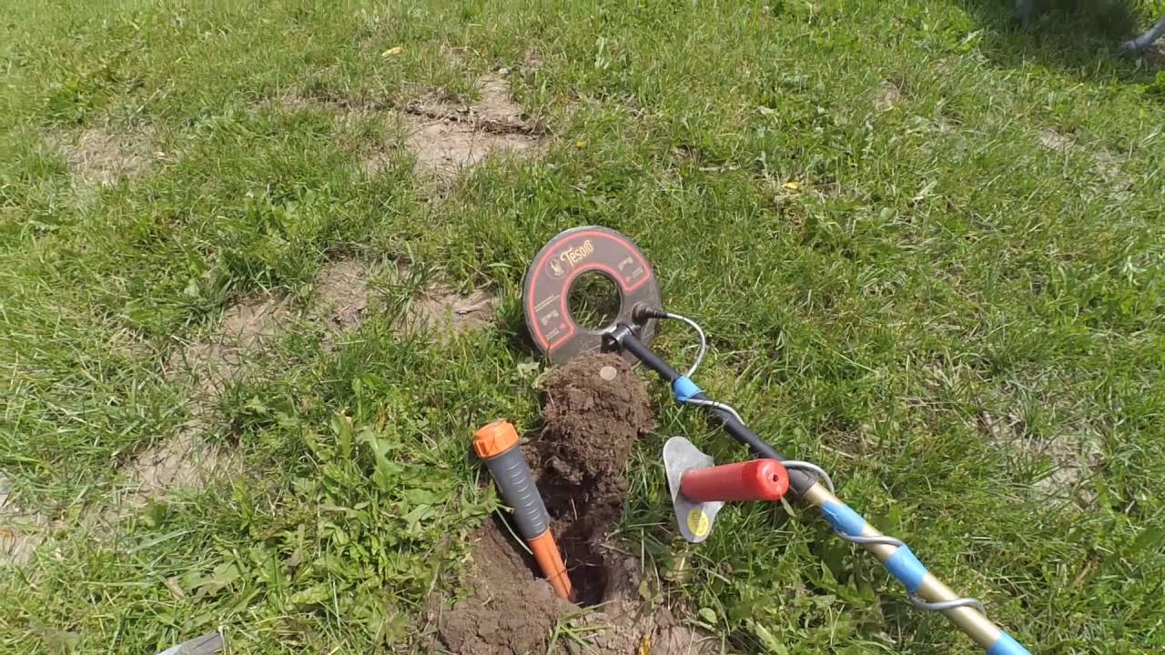 Metal detecting with the Tesoro Silver uMax at a country park.