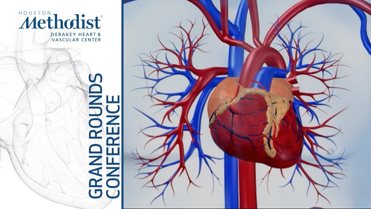 Senolytic Therapy for Cardiovascular Rejuvenation (Jordan Miller, MD, PhD) October 3, 2019