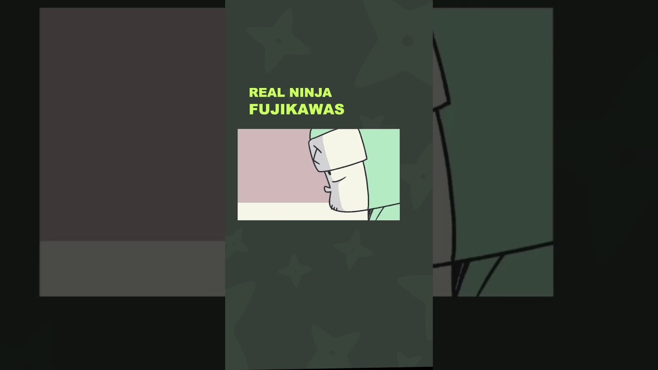 Are you a ninja?(REAL NINJA FUJIKAWAS) #comics #ninja #manga