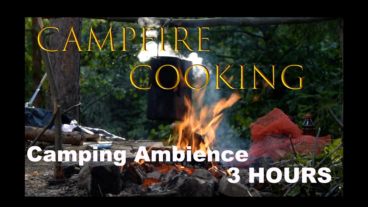Campfire Cooking Ambience for Relaxation | 3 HOURS
