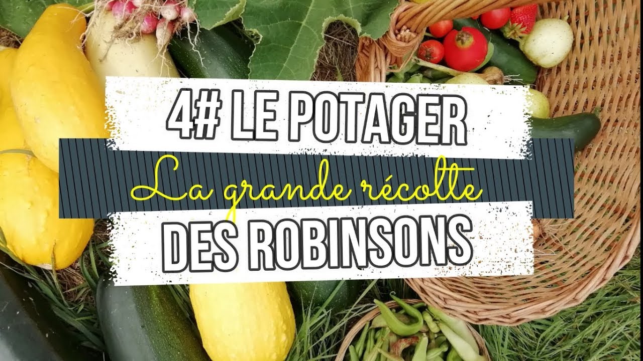 #4 Grande r&eacute;colte et visite du potager en ao&ucirc;t
