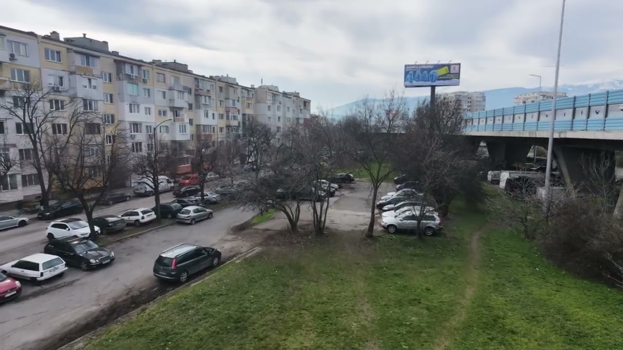 drujba