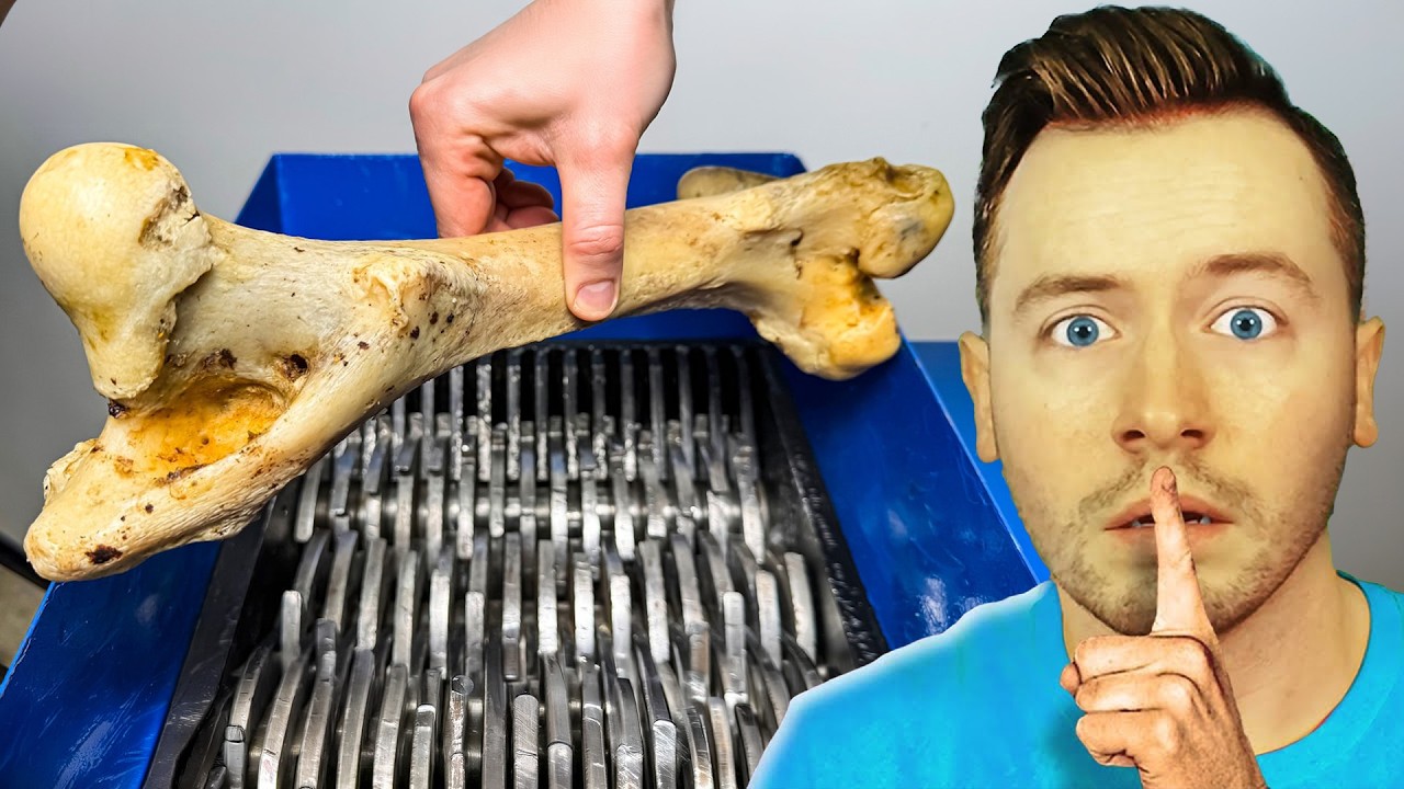 SCHREDDER vs HÄRTESTER KNOCHEN DER WELT...