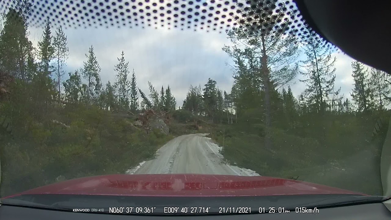 Vindfall langs kjøreturen Bengnadalen (E16) - Hedalen - Dølavegen