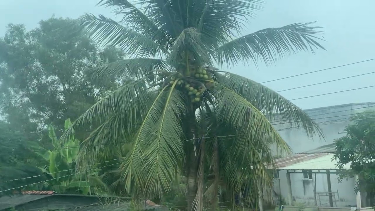 Cao tốc sài gòn mỷ tho đang khởi công làm thêm 1 đường nửa. 