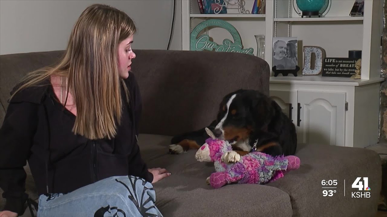 Former Petland employees file complaints with Missouri, Kentucky attorneys general offices