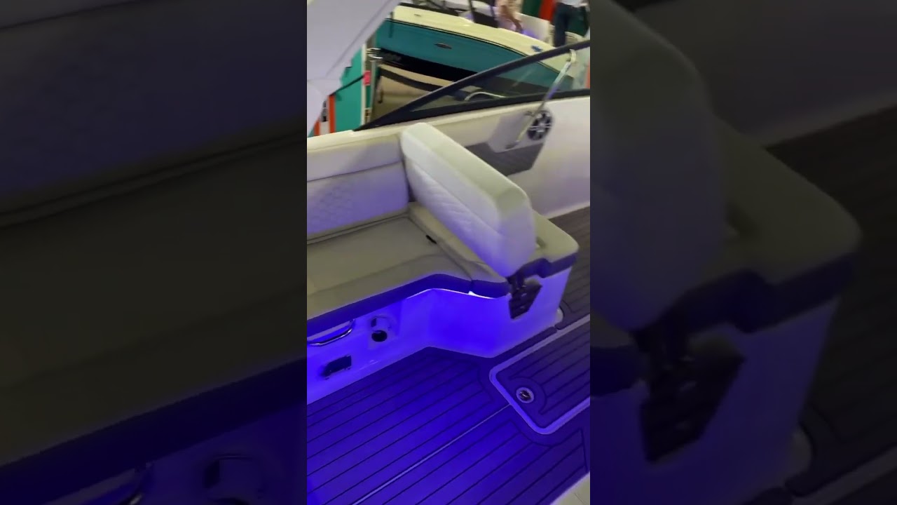 Brand New 2023 Sea Ray SDX 250 at MarineMax