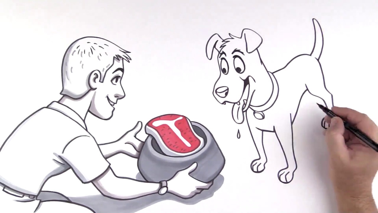 Feed vs Food: Know The Difference | TruDog