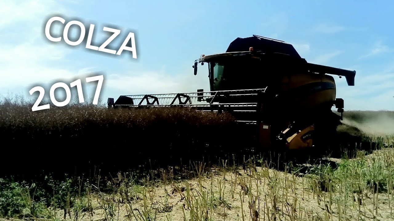 Moisson - D&eacute;chaumage du colza | 2017