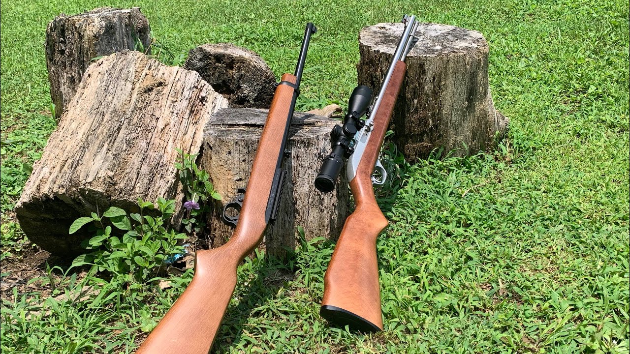 Ruger 10/22 vs Marlin Model 60: Head to Head accuracy test.