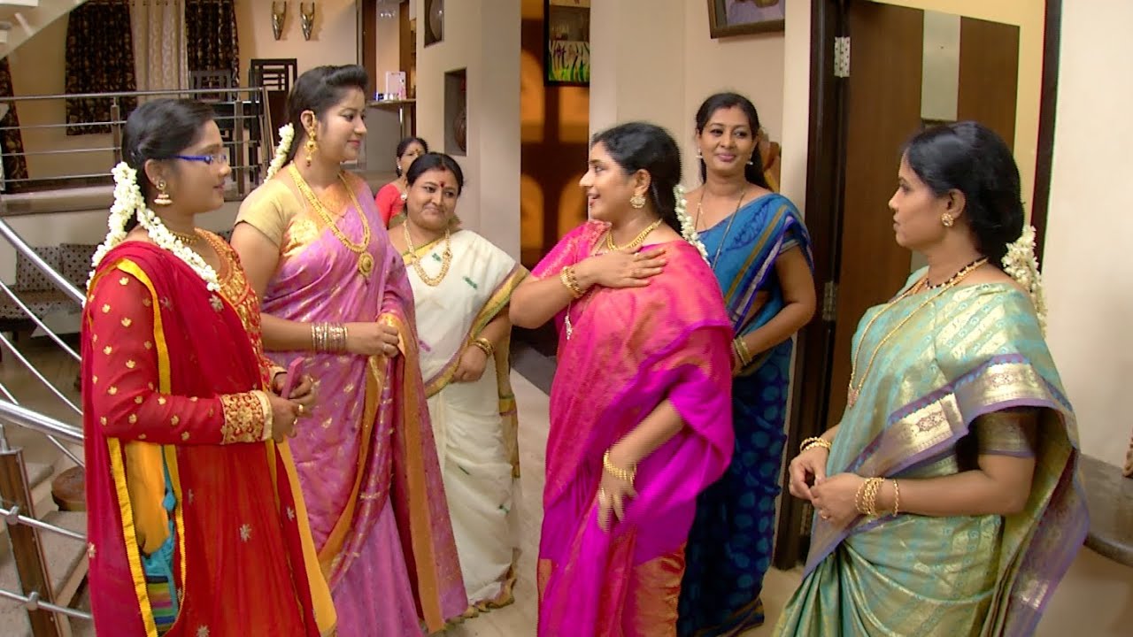 Priyamanaval Episode 245,  09/11/15