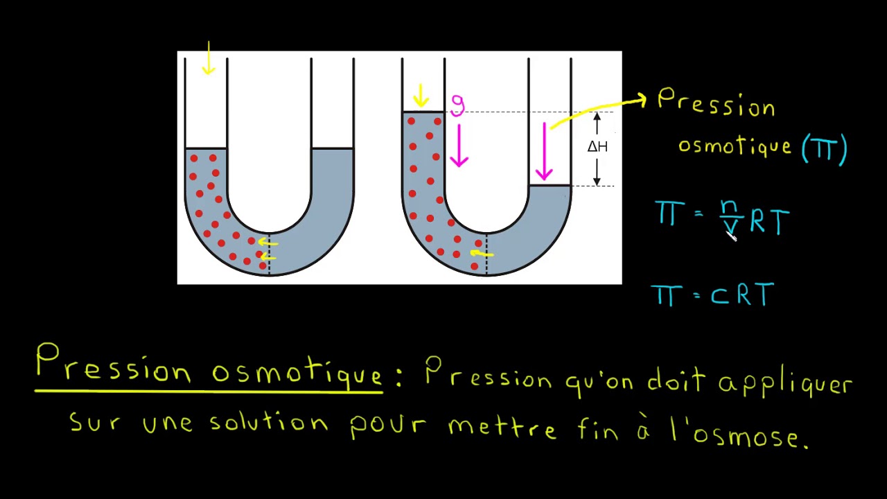 L'osmose