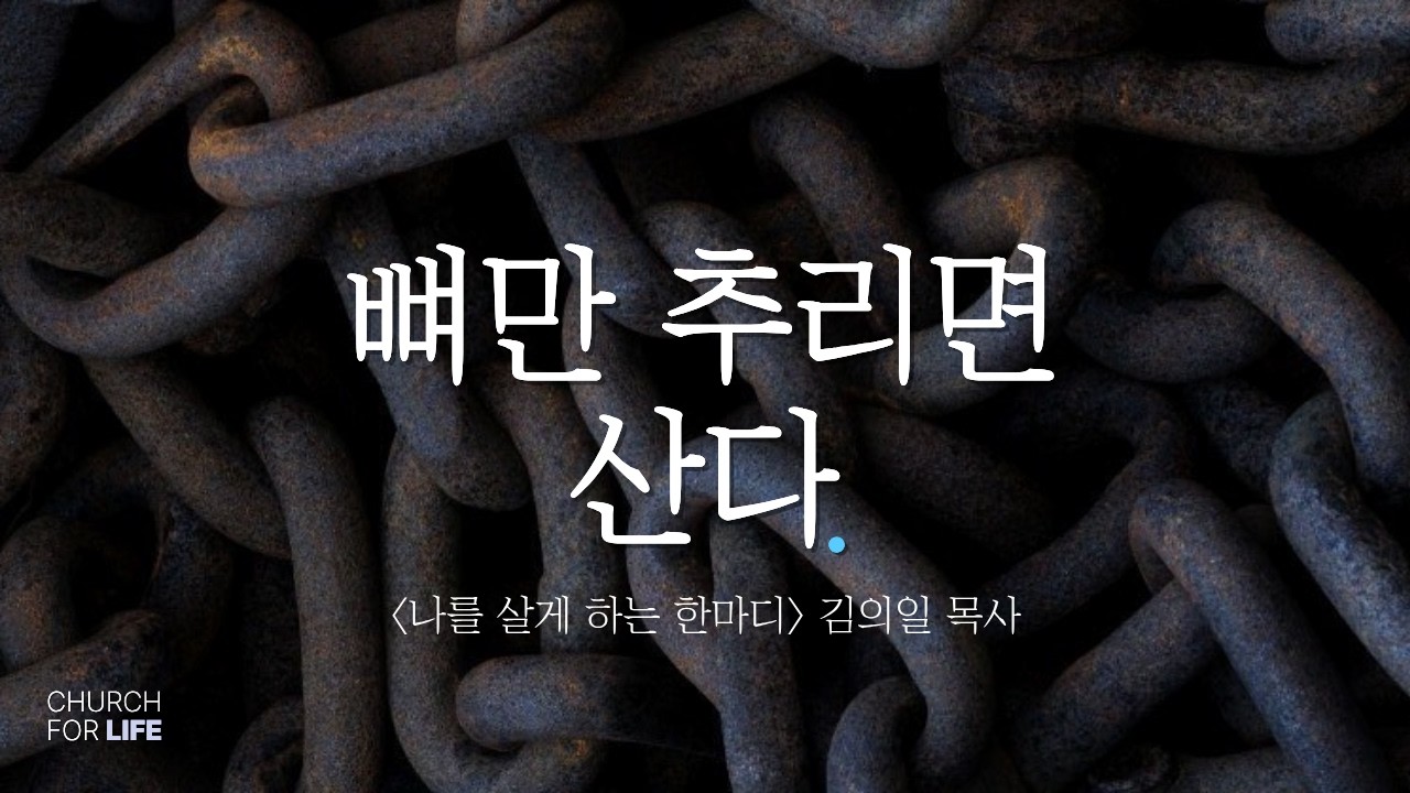 뼈만 추리면 산다(Life Church 김의일목사)