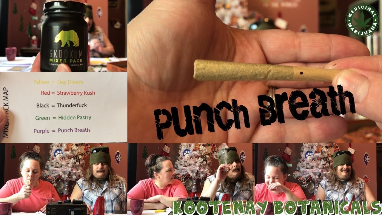 Cigrit & Donna Review &ldquo;Punch Breath&rdquo;👊🏻 (Medical Marijuana) From Kootenay Botanicals